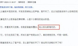 多伦多最新爆料新闻网站